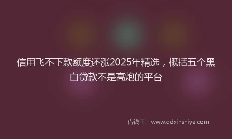 信用飞不下款额度还涨2025年精选，概括五个黑白贷款不是高炮的平台