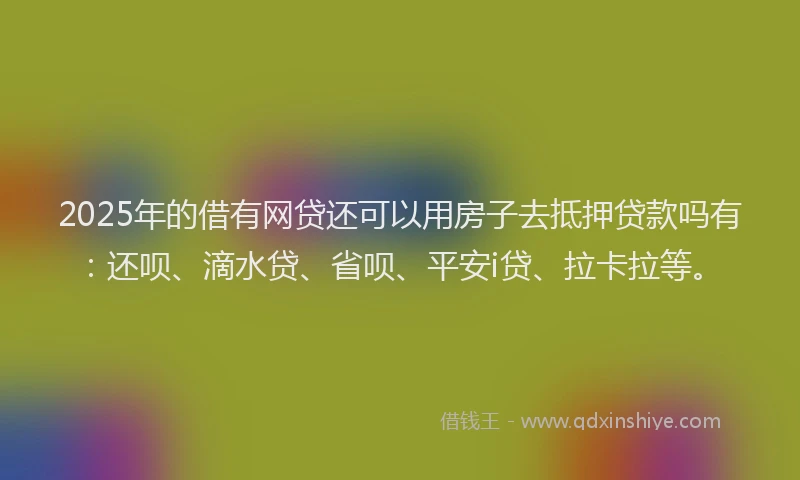 2025年的借有网贷还可以用房子去抵押贷款吗有：还呗、滴水贷、省呗、平安i贷、拉卡拉等。