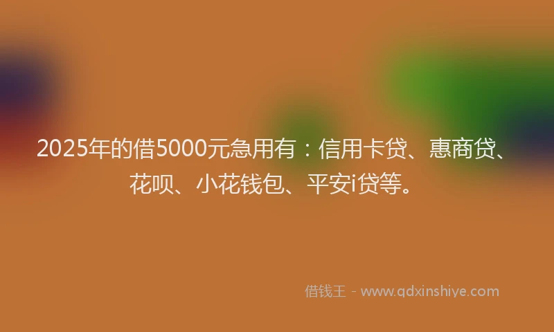2025年的借5000元急用有：信用卡贷、惠商贷、花呗、小花钱包、平安i贷等。