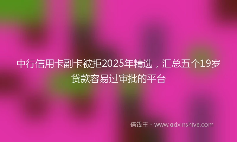 中行信用卡副卡被拒2025年精选，汇总五个19岁贷款容易过审批的平台