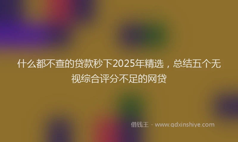 什么都不查的贷款秒下2025年精选，总结五个无视综合评分不足的网贷