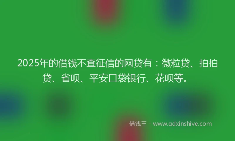 2025年的借钱不查征信的网贷有：微粒贷、拍拍贷、省呗、平安口袋银行、花呗等。