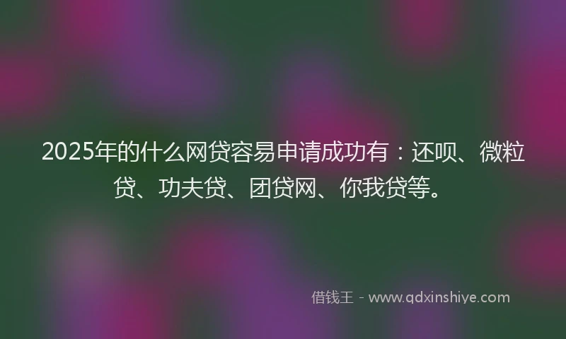 2025年的什么网贷容易申请成功有：还呗、微粒贷、功夫贷、团贷网、你我贷等。