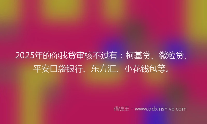 2025年的你我贷审核不过有：柯基贷、微粒贷、平安口袋银行、东方汇、小花钱包等。