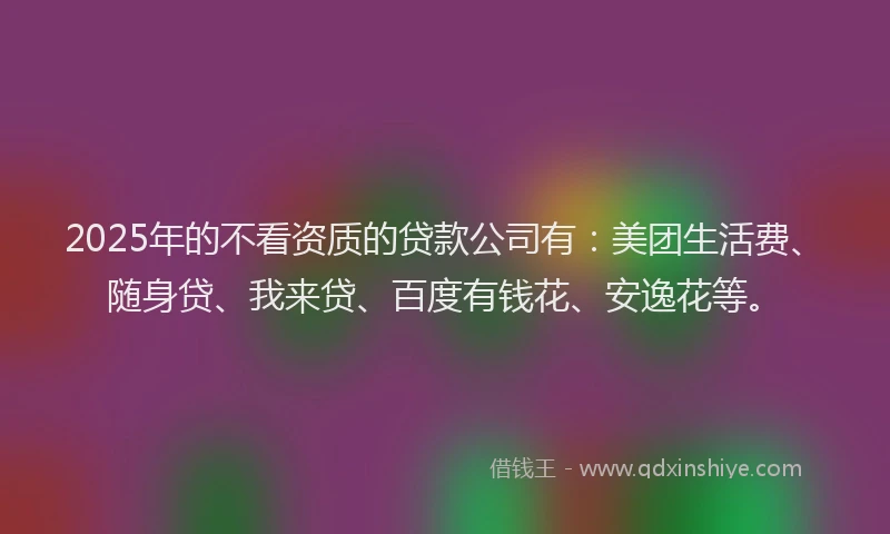 2025年的不看资质的贷款公司有：美团生活费、随身贷、我来贷、百度有钱花、安逸花等。