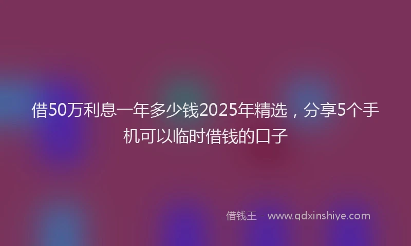 借50万利息一年多少钱2025年精选，分享5个手机可以临时借钱的口子