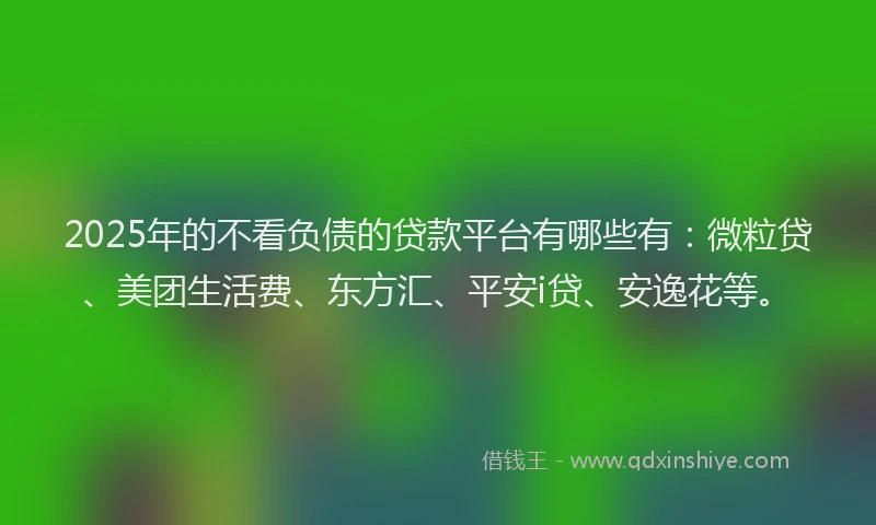 2025年的不看负债的贷款平台有哪些有：微粒贷、美团生活费、东方汇、平安i贷、安逸花等。