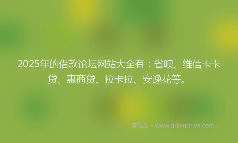 2025年的借款论坛网站大全有：省呗、维信卡卡贷、惠商贷、拉卡拉、安逸花等。