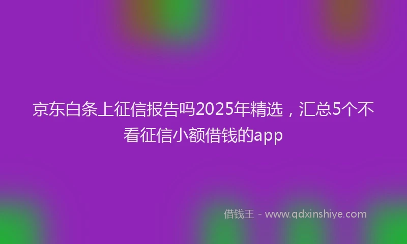 京东白条上征信报告吗2025年精选，汇总5个不看征信小额借钱的app