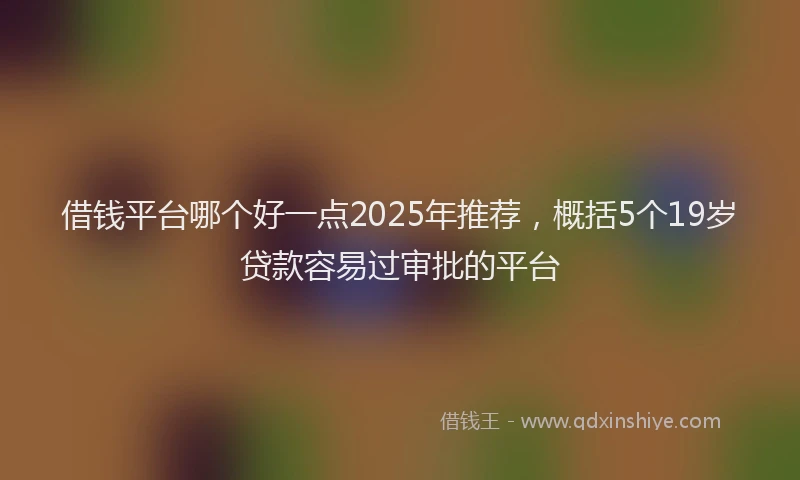 借钱平台哪个好一点2025年推荐，概括5个19岁贷款容易过审批的平台