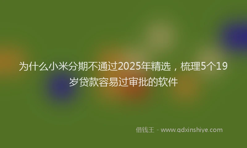 为什么小米分期不通过2025年精选，梳理5个19岁贷款容易过审批的软件