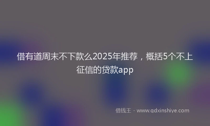 借有道周末不下款么2025年推荐，概括5个不上征信的贷款app