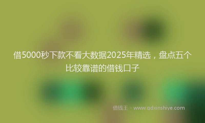 借5000秒下款不看大数据2025年精选，盘点五个比较靠谱的借钱口子