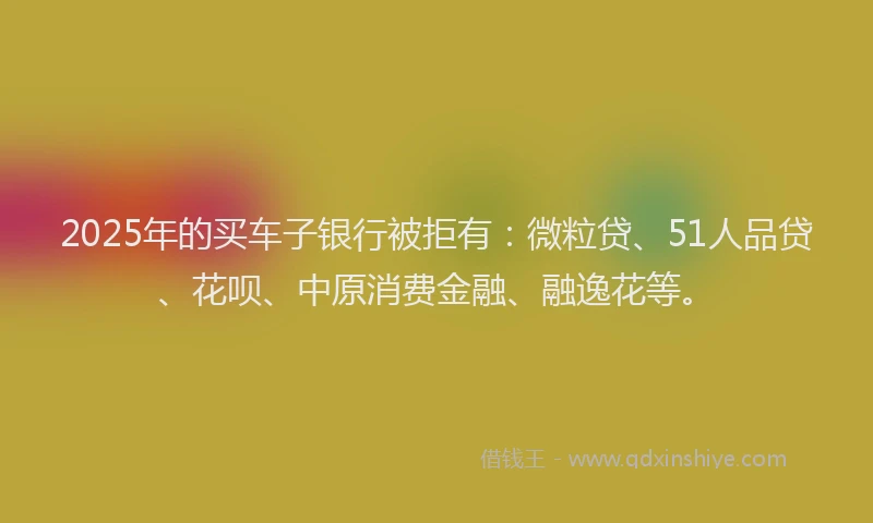 2025年的买车子银行被拒有：微粒贷、51人品贷、花呗、中原消费金融、融逸花等。