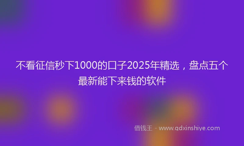 不看征信秒下1000的口子2025年精选，盘点五个最新能下来钱的软件