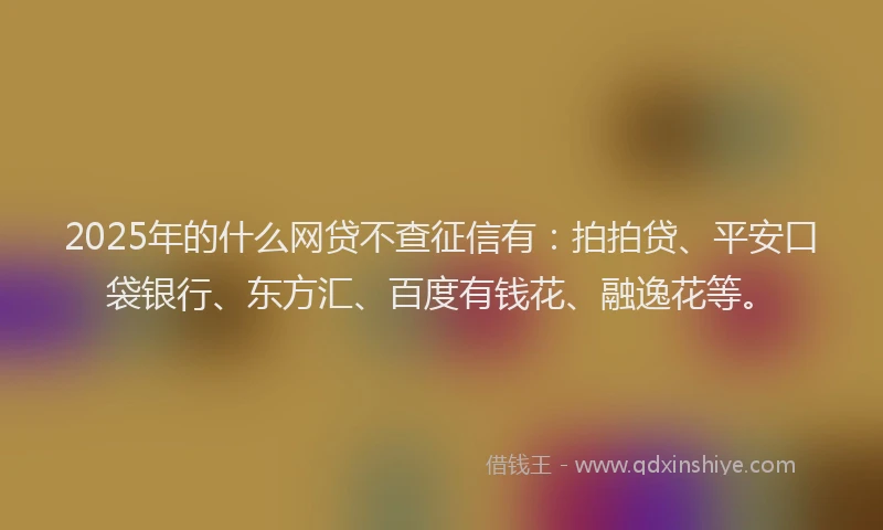 2025年的什么网贷不查征信有：拍拍贷、平安口袋银行、东方汇、百度有钱花、融逸花等。