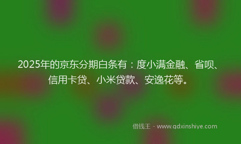 2025年的京东分期白条有：度小满金融、省呗、信用卡贷、小米贷款、安逸花等。