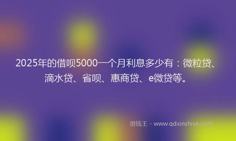 2025年的借呗5000一个月利息多少有：微粒贷、滴水贷、省呗、惠商贷、e微贷等。