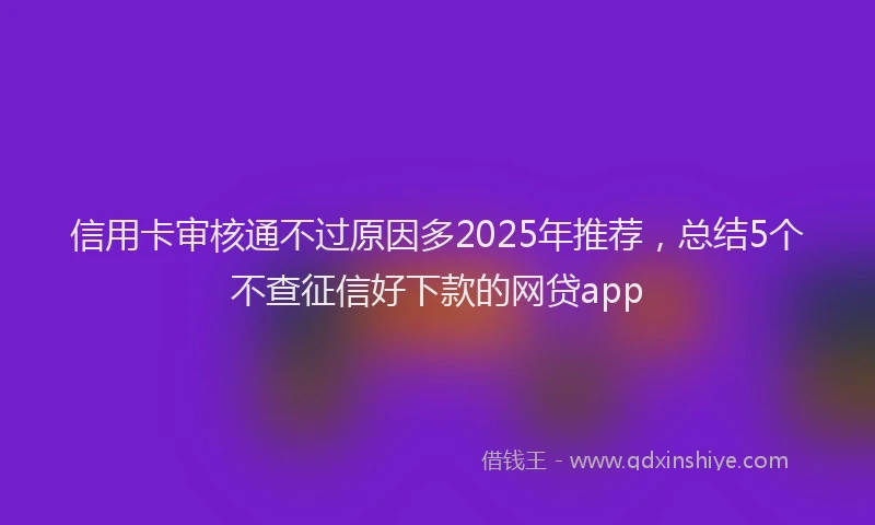 信用卡审核通不过原因多2025年推荐，总结5个不查征信好下款的网贷app