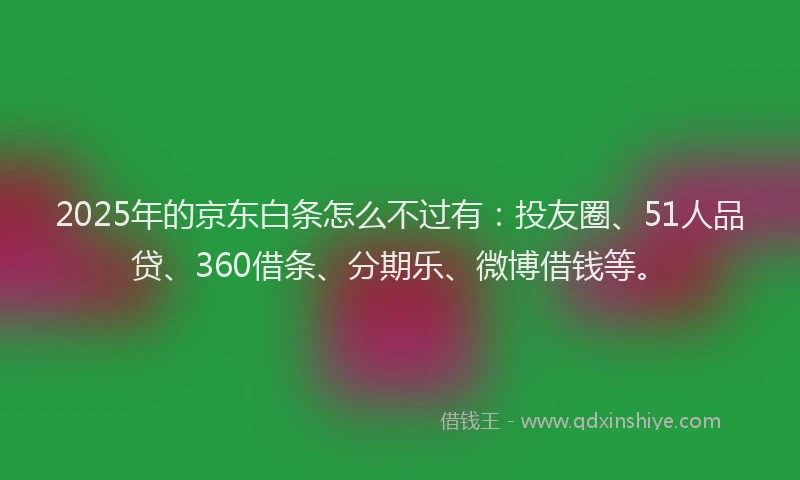 2025年的京东白条怎么不过有：投友圈、51人品贷、360借条、分期乐、微博借钱等。