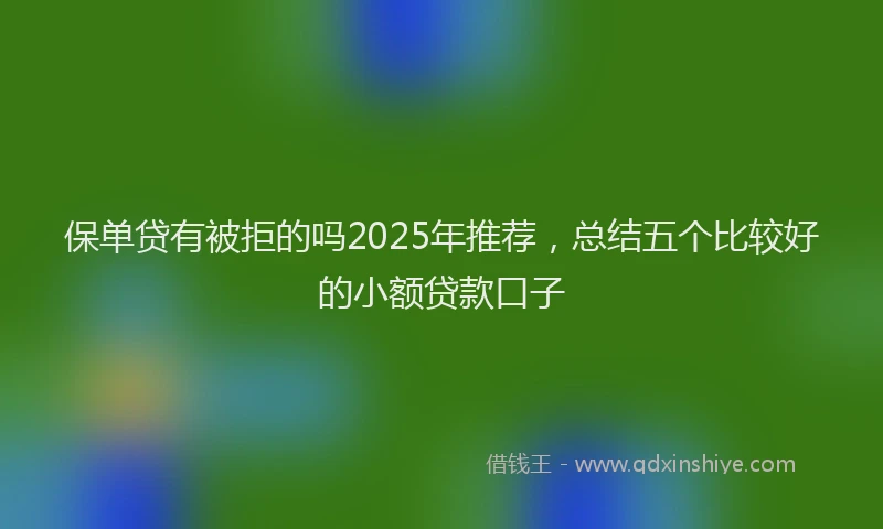 保单贷有被拒的吗2025年推荐，总结五个比较好的小额贷款口子