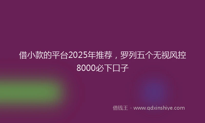 借小款的平台2025年推荐，罗列五个无视风控8000必下口子