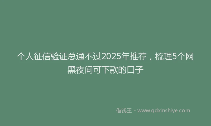 个人征信验证总通不过2025年推荐，梳理5个网黑夜间可下款的口子
