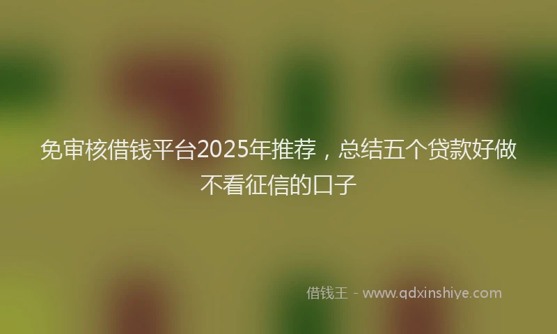 免审核借钱平台2025年推荐，总结五个贷款好做不看征信的口子