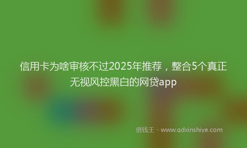信用卡为啥审核不过2025年推荐，整合5个真正无视风控黑白的网贷app