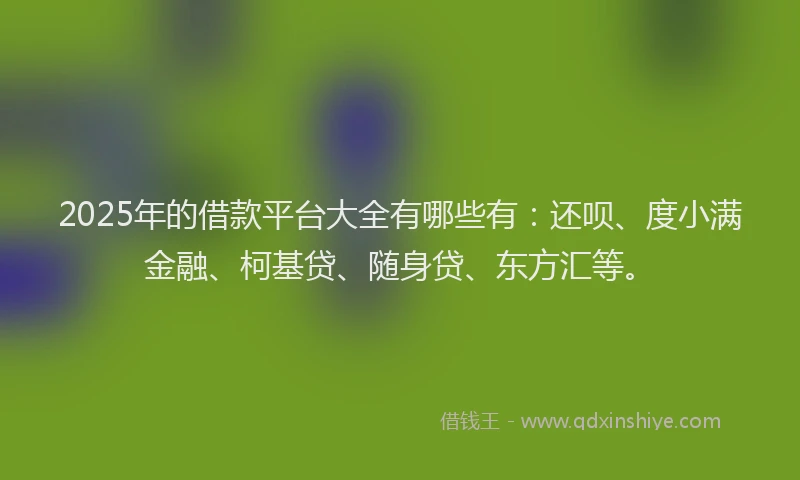 2025年的借款平台大全有哪些有：还呗、度小满金融、柯基贷、随身贷、东方汇等。
