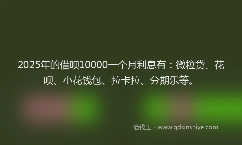 2025年的借呗10000一个月利息有：微粒贷、花呗、小花钱包、拉卡拉、分期乐等。