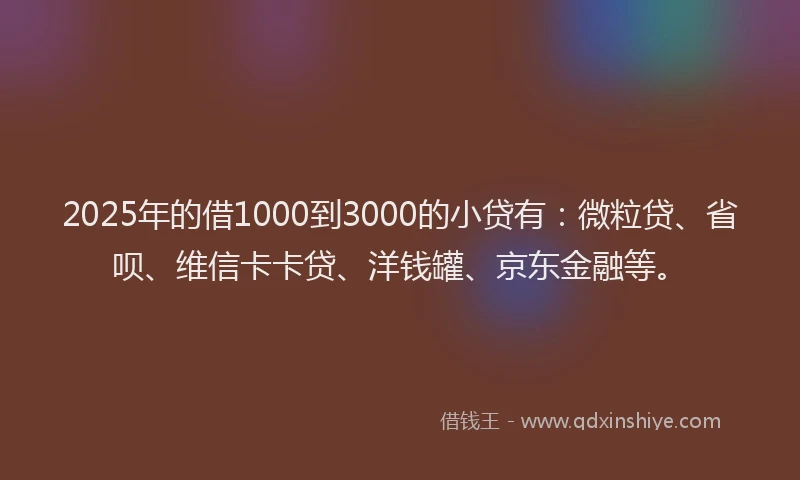 2025年的借1000到3000的小贷有：微粒贷、省呗、维信卡卡贷、洋钱罐、京东金融等。