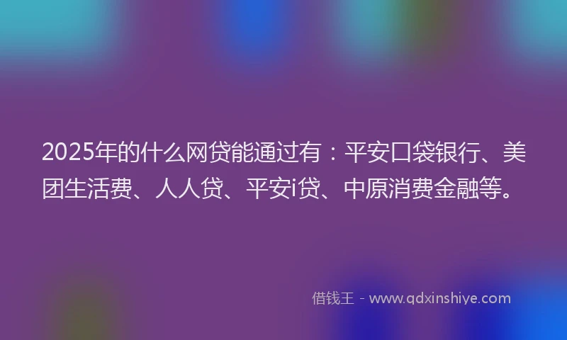2025年的什么网贷能通过有：平安口袋银行、美团生活费、人人贷、平安i贷、中原消费金融等。