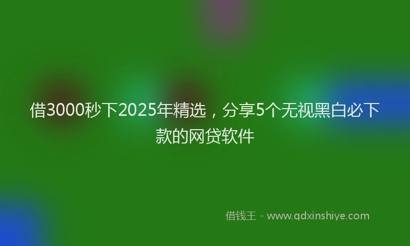 借3000秒下2025年精选，分享5个无视黑白必下款的网贷软件