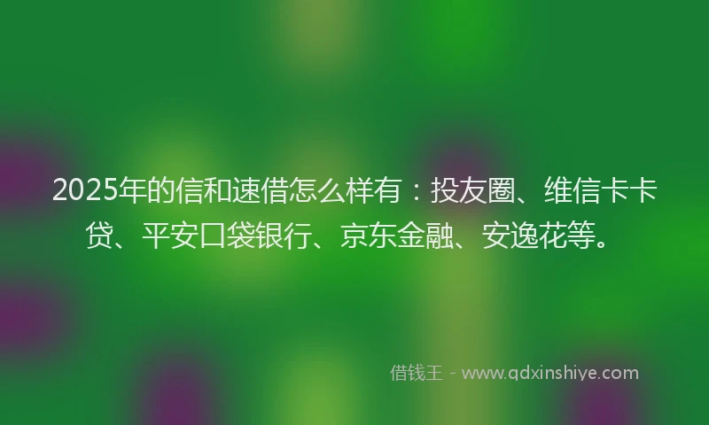 2025年的信和速借怎么样有：投友圈、维信卡卡贷、平安口袋银行、京东金融、安逸花等。