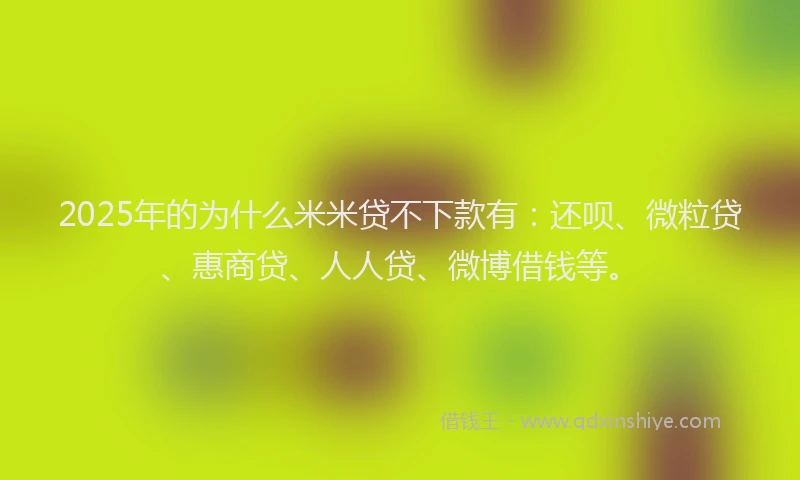 2025年的为什么米米贷不下款有：还呗、微粒贷、惠商贷、人人贷、微博借钱等。