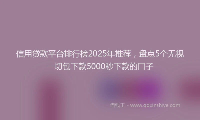 信用贷款平台排行榜2025年推荐，盘点5个无视一切包下款5000秒下款的口子