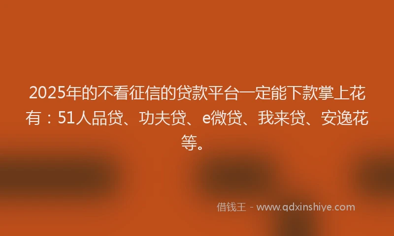2025年的不看征信的贷款平台一定能下款掌上花有：51人品贷、功夫贷、e微贷、我来贷、安逸花等。