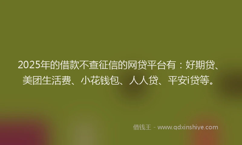 2025年的借款不查征信的网贷平台有：好期贷、美团生活费、小花钱包、人人贷、平安i贷等。