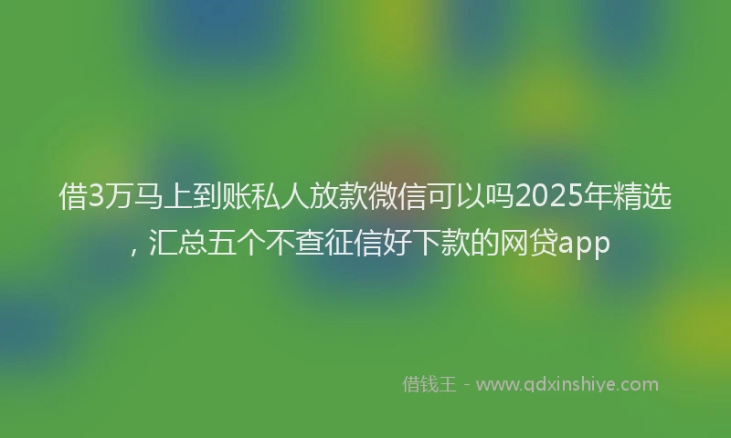 借3万马上到账私人放款微信可以吗2025年精选，汇总五个不查征信好下款的网贷app