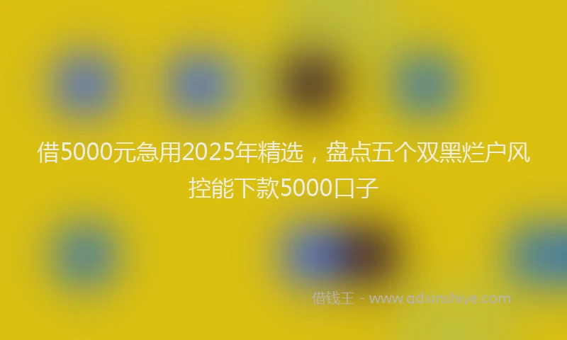 借5000元急用2025年精选，盘点五个双黑烂户风控能下款5000口子
