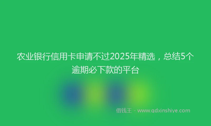 农业银行信用卡申请不过2025年精选，总结5个逾期必下款的平台