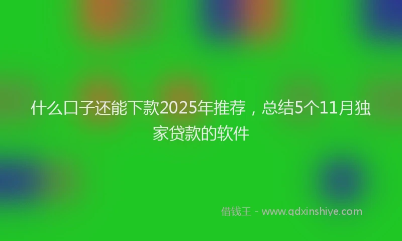 什么口子还能下款2025年推荐，总结5个11月独家贷款的软件