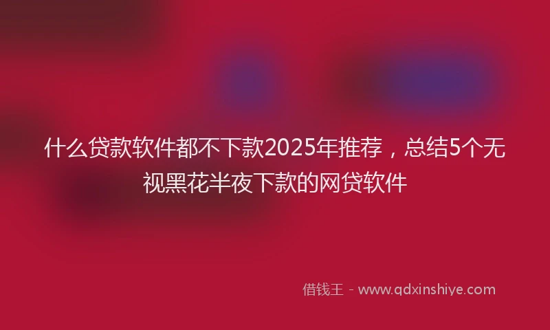 什么贷款软件都不下款2025年推荐，总结5个无视黑花半夜下款的网贷软件