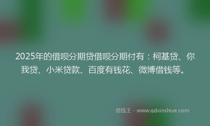 2025年的借呗分期贷借呗分期付有：柯基贷、你我贷、小米贷款、百度有钱花、微博借钱等。