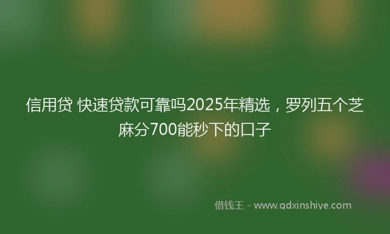 信用贷 快速贷款可靠吗2025年精选，罗列五个芝麻分700能秒下的口子