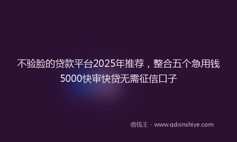 不验脸的贷款平台2025年推荐，整合五个急用钱5000快审快贷无需征信口子