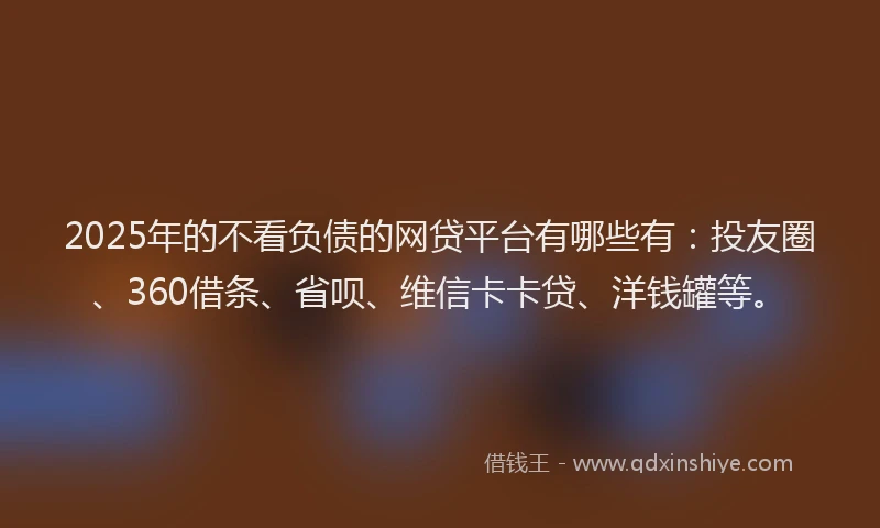2025年的不看负债的网贷平台有哪些有：投友圈、360借条、省呗、维信卡卡贷、洋钱罐等。