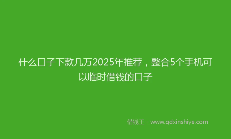什么口子下款几万2025年推荐，整合5个手机可以临时借钱的口子