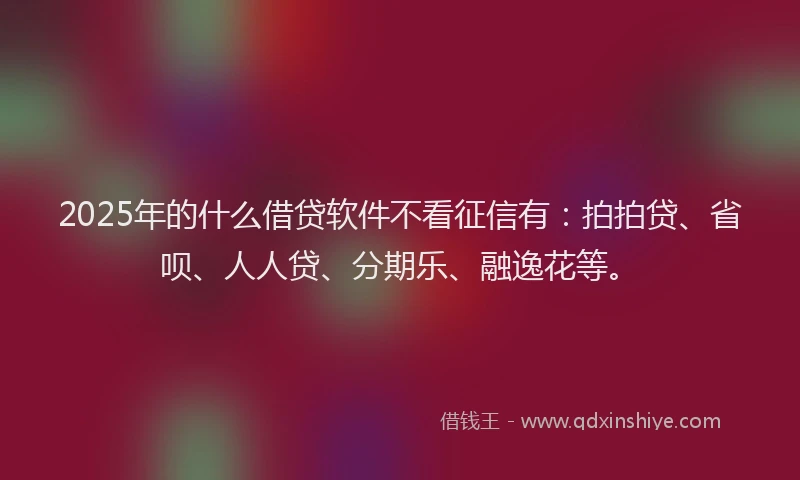 2025年的什么借贷软件不看征信有：拍拍贷、省呗、人人贷、分期乐、融逸花等。
